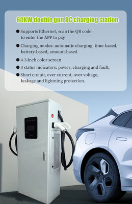 Station de recharge électrique rapide de 60 kW à double connecteur à courant continu de sortie